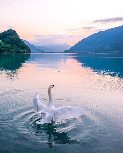 Lake Brienz, Switzerland Travel Guide