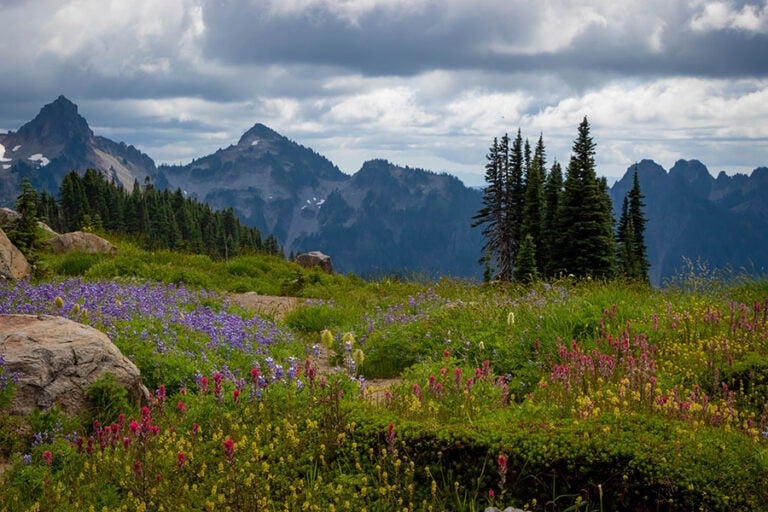 14 Best Weekend Getaways in Washington State + Where to Stay