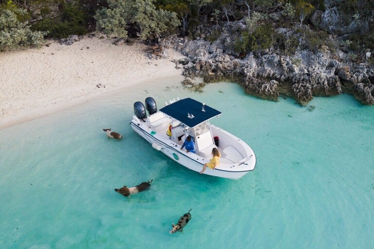 How To Swim With Pigs In The Bahamas At Pig Beach (2023)