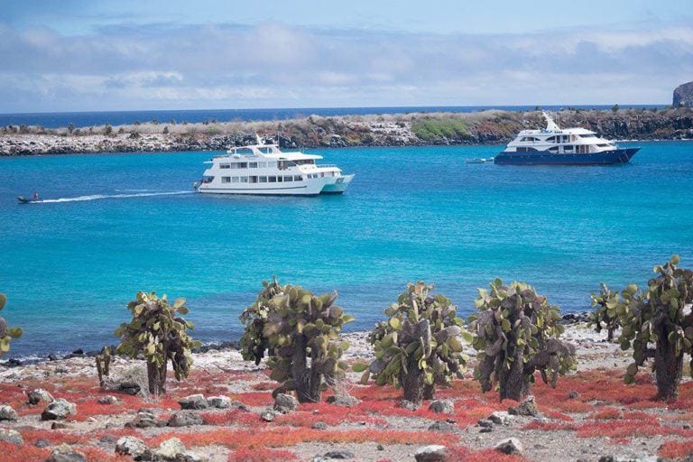 What to Pack for a Trip to the Galapagos Islands